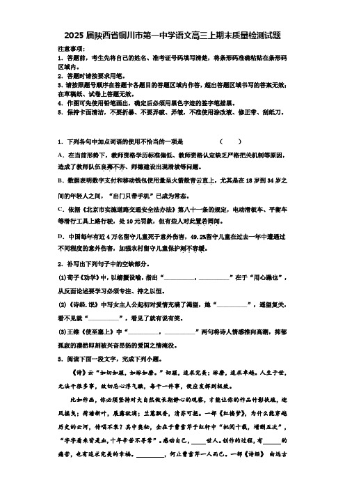 2025届陕西省铜川市第一中学语文高三上期末质量检测试题含解析