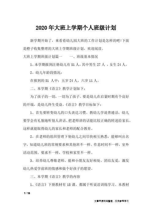2020年大班上学期个人班级计划_工作计划