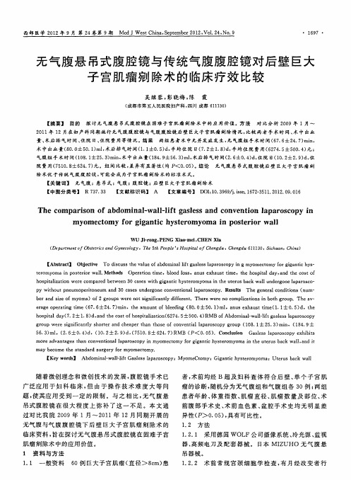 无气腹悬吊式腹腔镜与传统气腹腹腔镜对后壁巨大子宫肌瘤剜除术的临床疗效比较