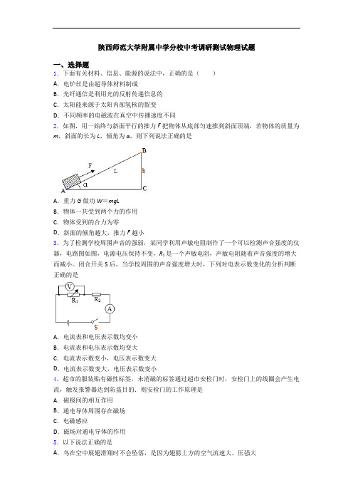 陕西师范大学附属中学分校中考调研测试物理试题