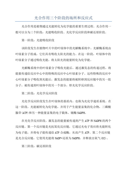 光合作用三个阶段的场所和反应式