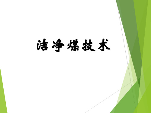 1 第一章 - 洁净煤技术概述