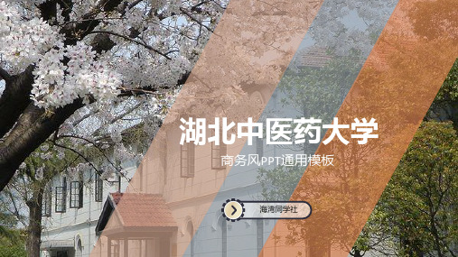 湖北中医药大学专用-商务风格-PPT模板3