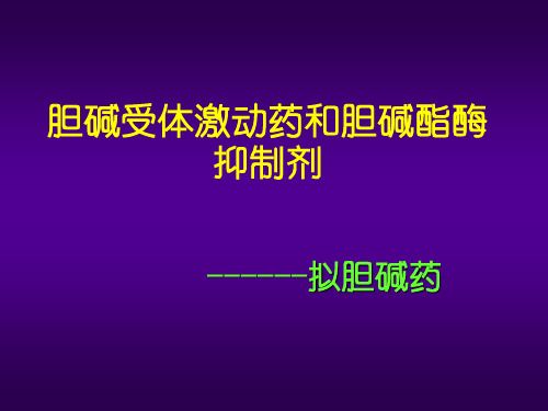 胆碱受体激动药及胆碱酯酶抑制剂PPT课件