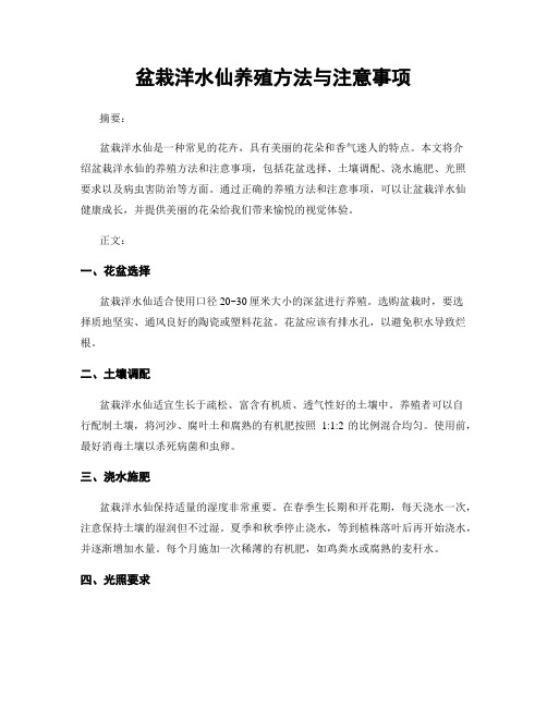 盆栽洋水仙养殖方法与注意事项