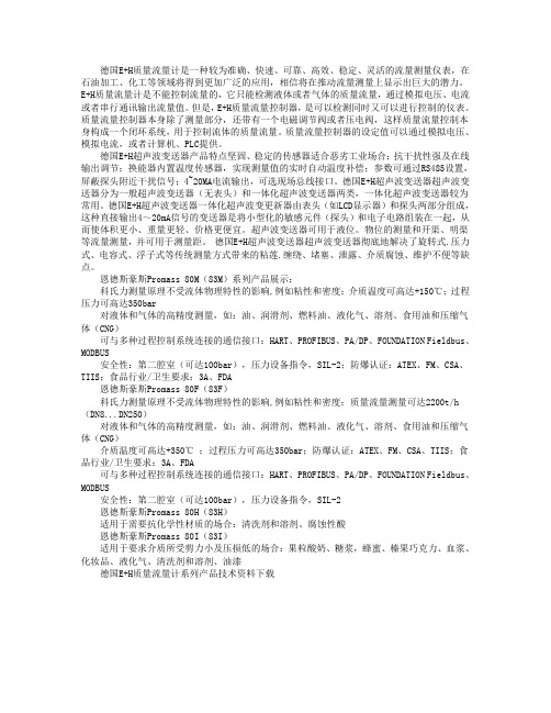 德国EH质量流量计是一种较为准确快速可靠高效稳