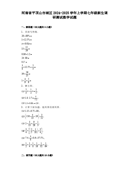 河南省平顶山市城区2024-2025学年上学期七年级新生调研测试数学试题(含详解)