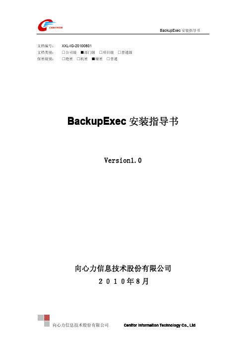 BackupExec安装指导书