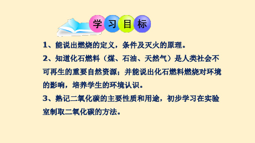 初中化学燃烧与燃料复习课课件