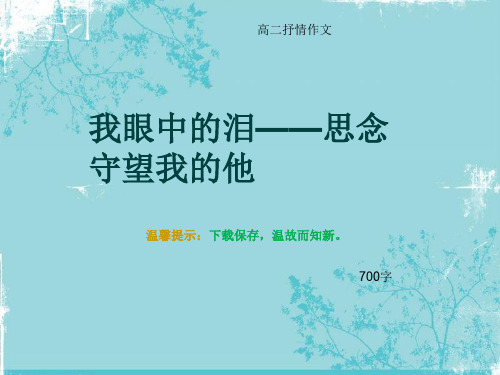 高二抒情作文《我眼中的泪——思念守望我的他》700字