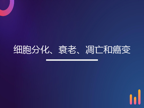 细胞分化衰老凋亡和癌变