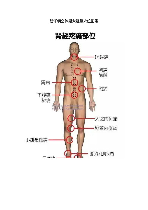 超详细全体男女经络穴位图集