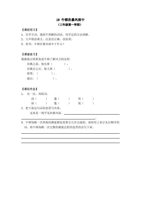 19.牛顿在暴风雨中