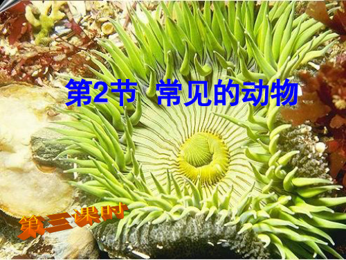 七年级上科学_常见的植物_公开课ppt浙教版