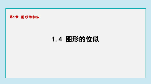 1.4图形的位似 课件 青岛版数学九年级上册