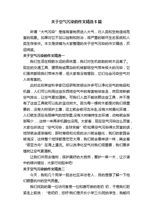 关于空气污染的作文精选5篇