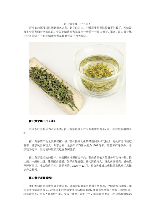 霍山黄芽属于什么茶？