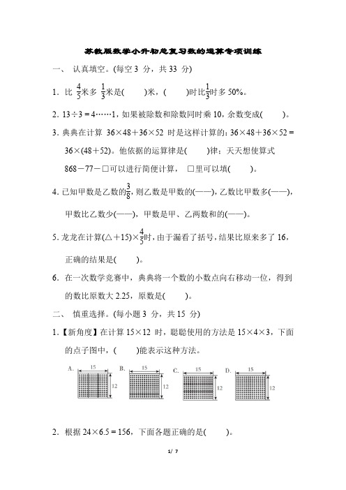 苏教版数学小升初总复习数的运算专项训练含答案