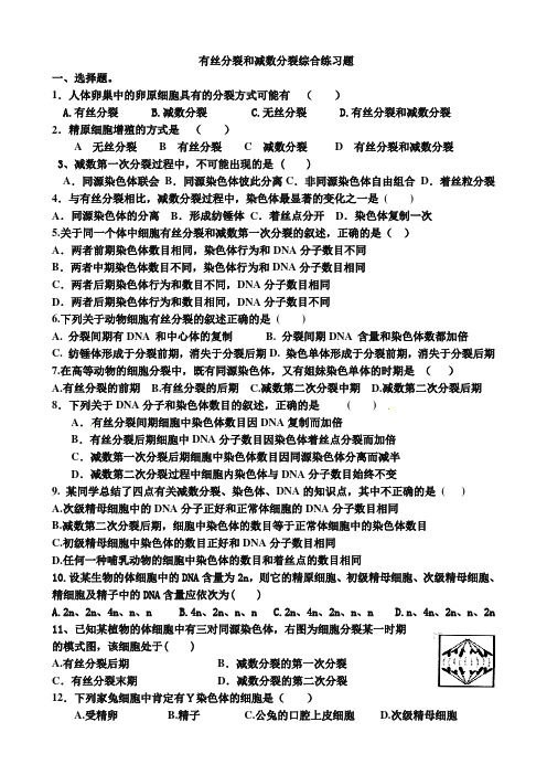 有丝分裂和减数分裂专题练习含答案