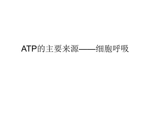 ATP的主要能量来源原