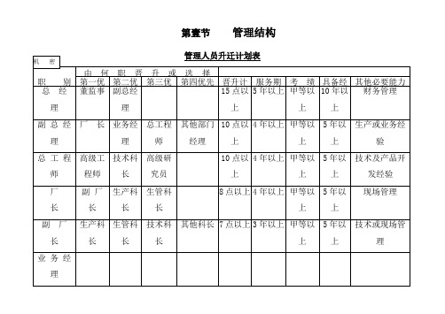 人力资源管理考核激励之管理人员升迁计划表