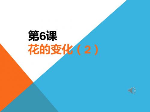 花的变化2课件.ppt