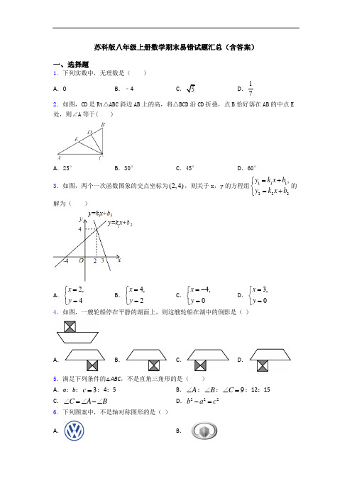 苏科版八年级上册数学期末易错试题汇总(含答案)