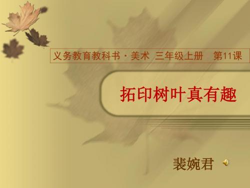 第11课 拓印树叶真有趣