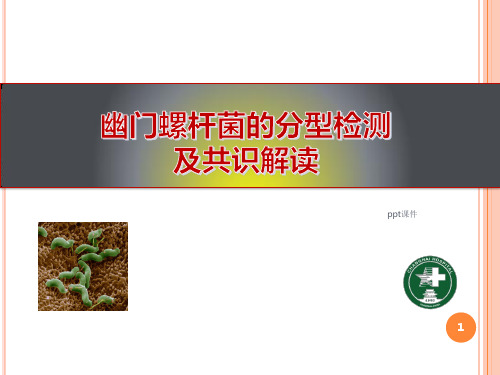 幽门螺旋杆菌分型检测  ppt课件