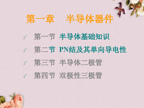 半导体的基础知识与PN结(ppt 24页)