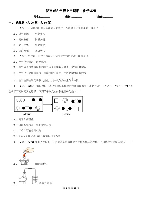 陇南市九年级上学期期中化学试卷