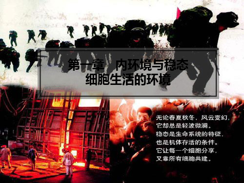 生物必修三第一章第一节细胞生活的环境