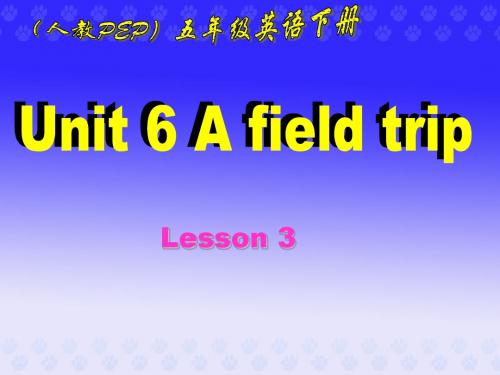 PEP人教版小学英语五年级下册Unit6Lesson3教学课件