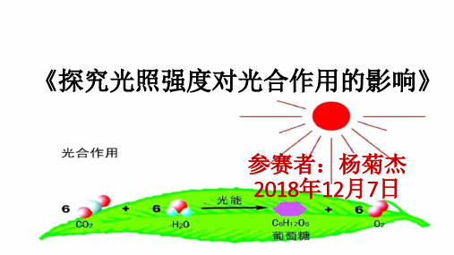 探究光照强度对光合作用的影响