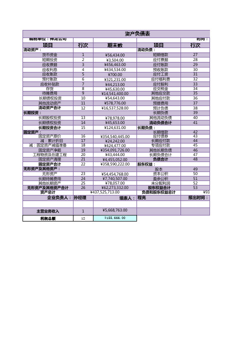 资产负债明细表