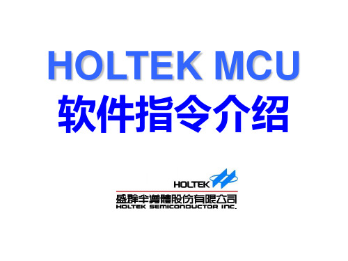 Holtek(合泰)单片机指令介绍