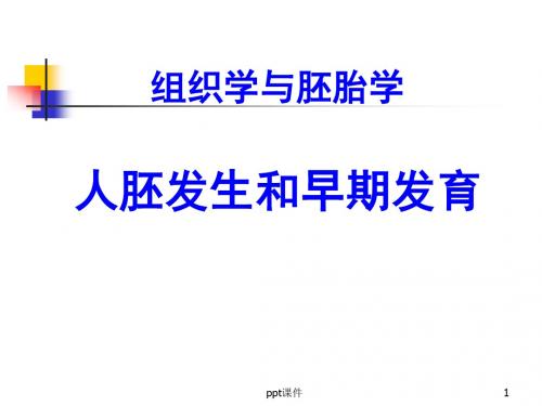 人胚发生和早期发育--组织学与胚胎学 PPT课件  ppt课件