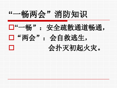 四年级上册综合实践