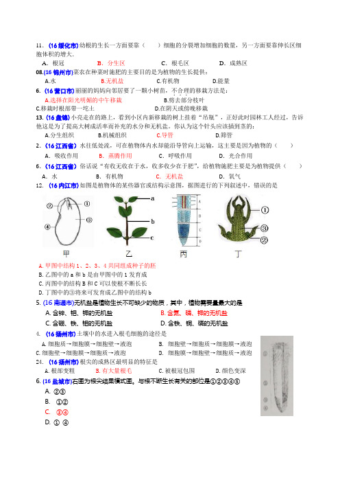 2016年中考生物题汇编(含答案)10植物体生长