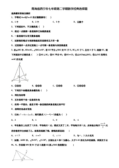 青海省西宁市七年级第二学期数学经典选择题含解析