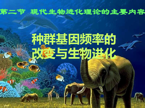 种群基因频率的改变和生物进化-ppt精品课件