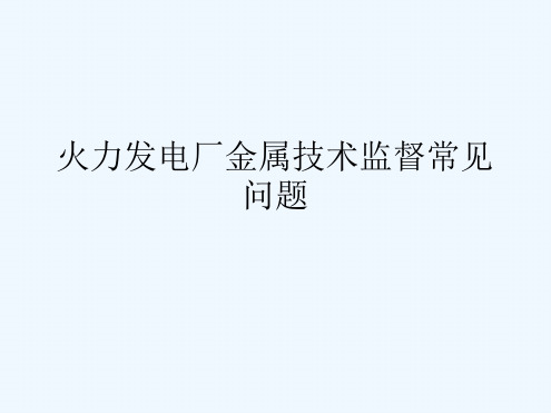 火力发电厂金属技术监督常见问题_电力水利_工程科技_专业资料