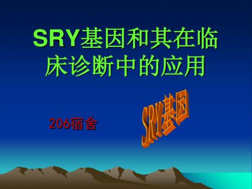 SRY基因和其在临床诊断中的应用-精选文档