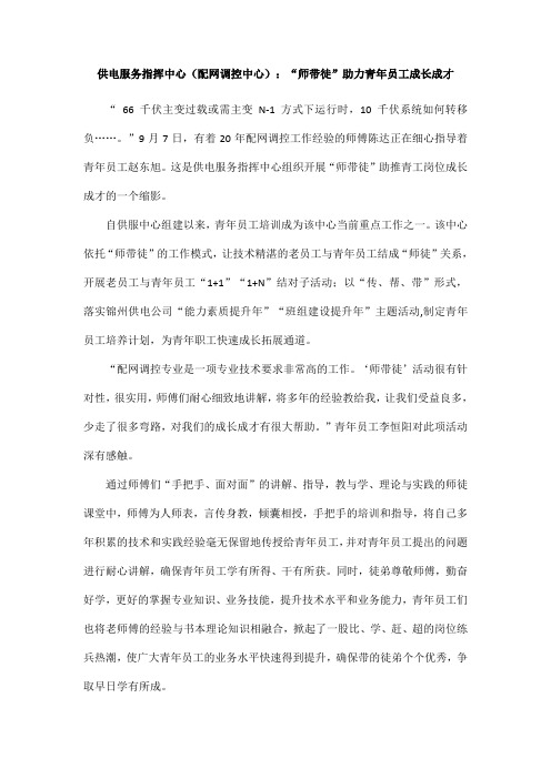 供电服务指挥中心(配网调控中心)：“师带徒”助力青年员工成长成才