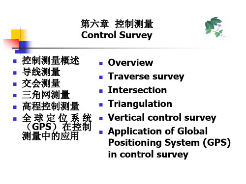 武汉大学数字测图原理与方法全套课件第六章