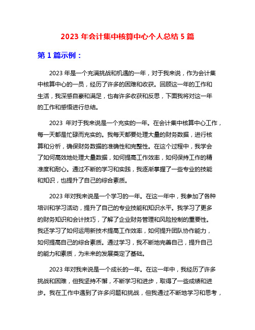 2023年会计集中核算中心个人总结5篇