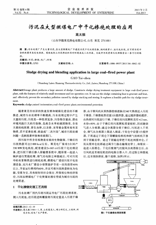 污泥在大型燃煤电厂中干化掺烧处理的应用