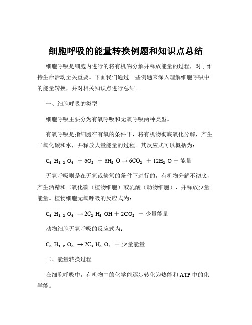 细胞呼吸的能量转换例题和知识点总结