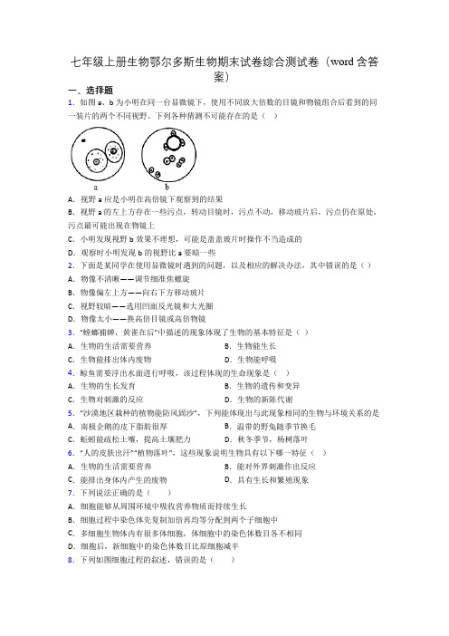 七年级上册生物鄂尔多斯生物期末试卷综合测试卷(word含答案)