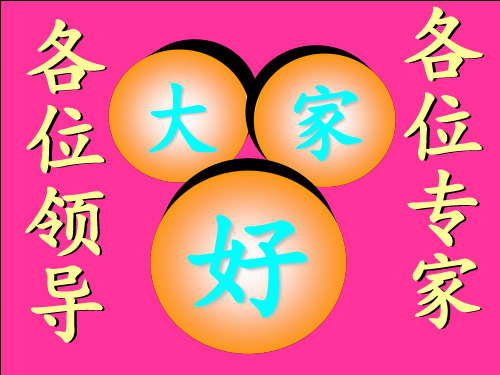 油水井高效堵水堵漏技术PPT课件